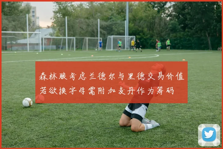 森林狼考虑兰德尔与里德交易价值若欲换字母需附加麦丹作为筹码