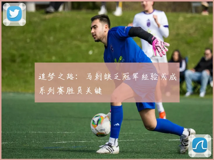追梦之路：马刺缺乏冠军经验或成系列赛胜负关键